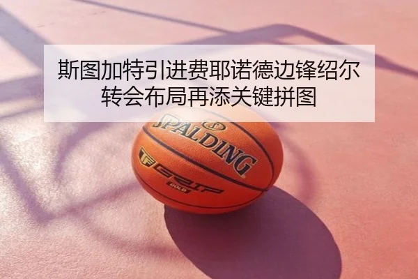 斯图加特引进费耶诺德边锋绍尔 转会布局再添关键拼图（aoa.conapp）