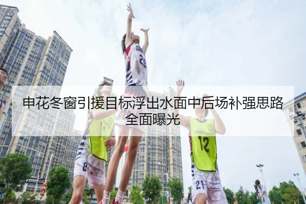 申花冬窗引援目标浮出水面中后场补强思路全面曝光（aoa.conapp）