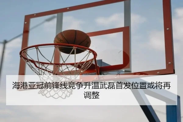 海港亚冠前锋线竞争升温武磊首发位置或将再调整（aoa.conapp）